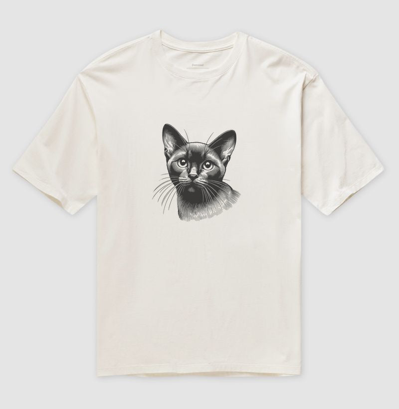 Felino Navegante