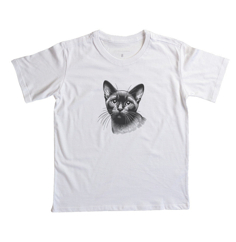 Felino Navegante