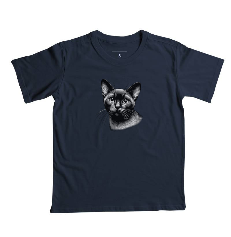 Felino Navegante