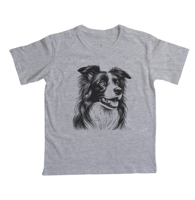 Border collie PRÍNCIPE DAS PRAIAS