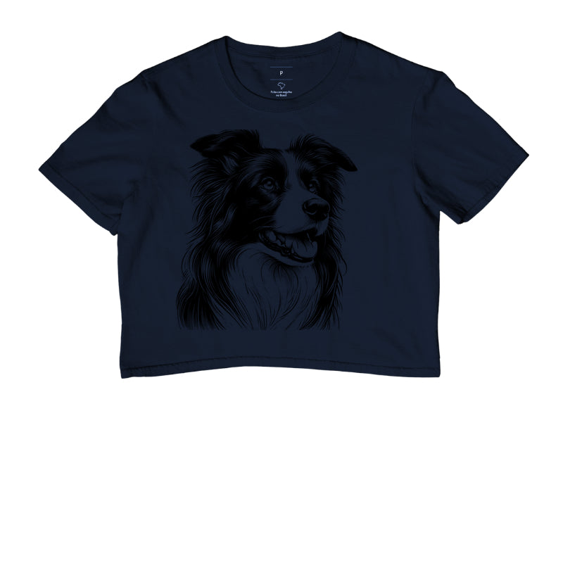 Border collie PRÍNCIPE DAS PRAIAS