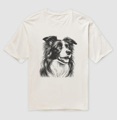 Border collie PRÍNCIPE DAS PRAIAS
