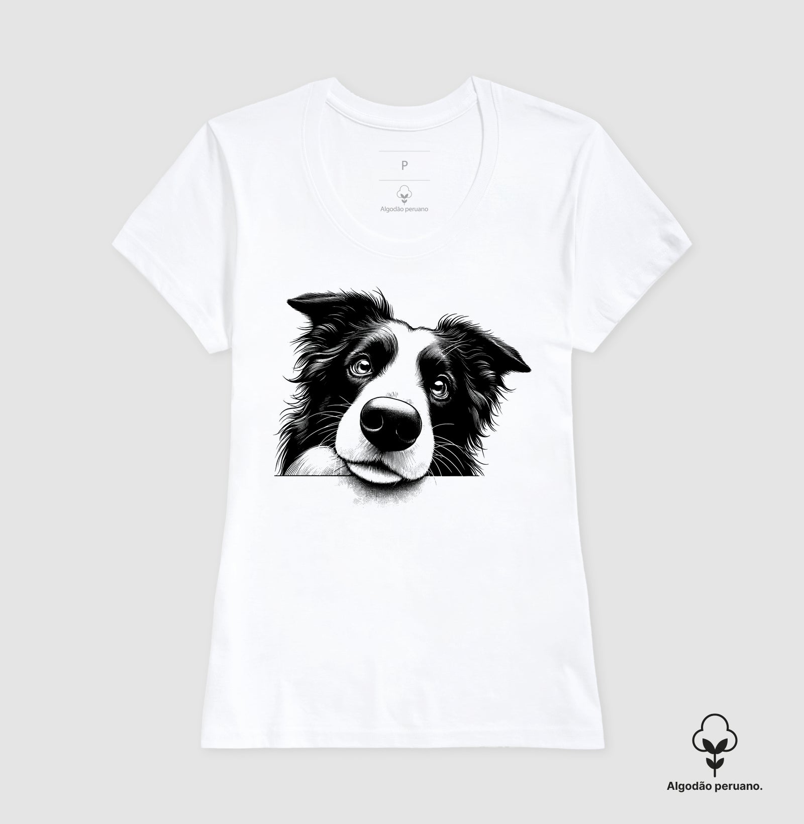 Border collie