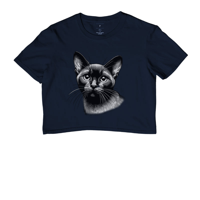 Felino Navegante