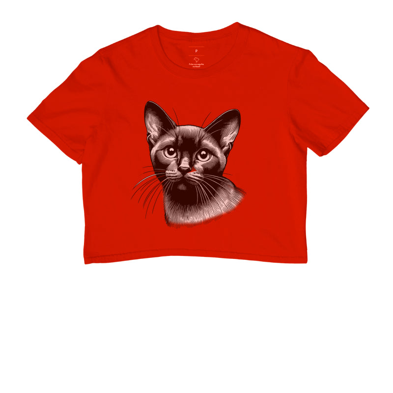 Felino Navegante