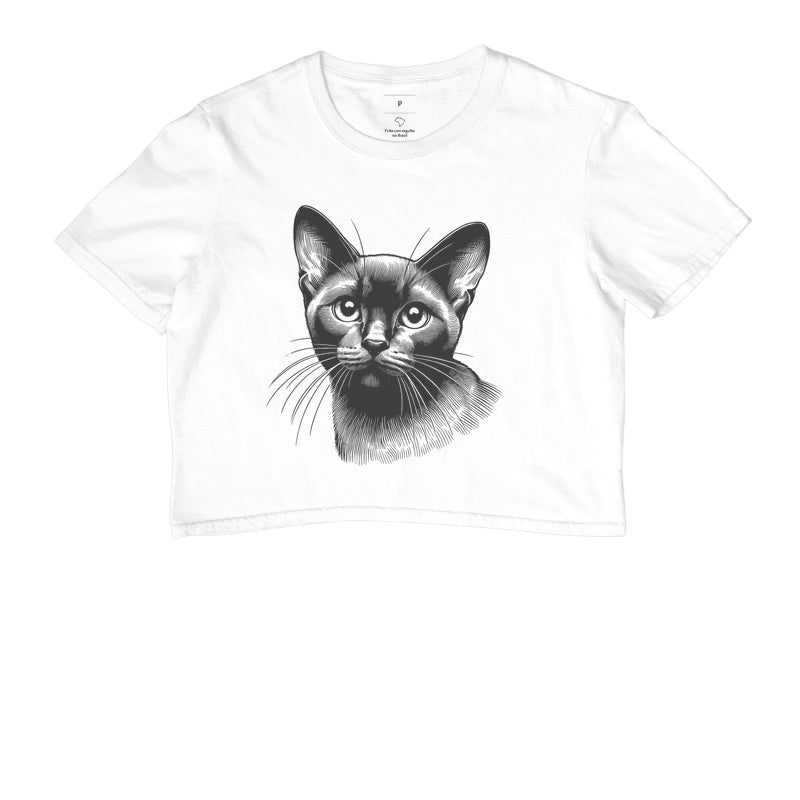 Felino Navegante