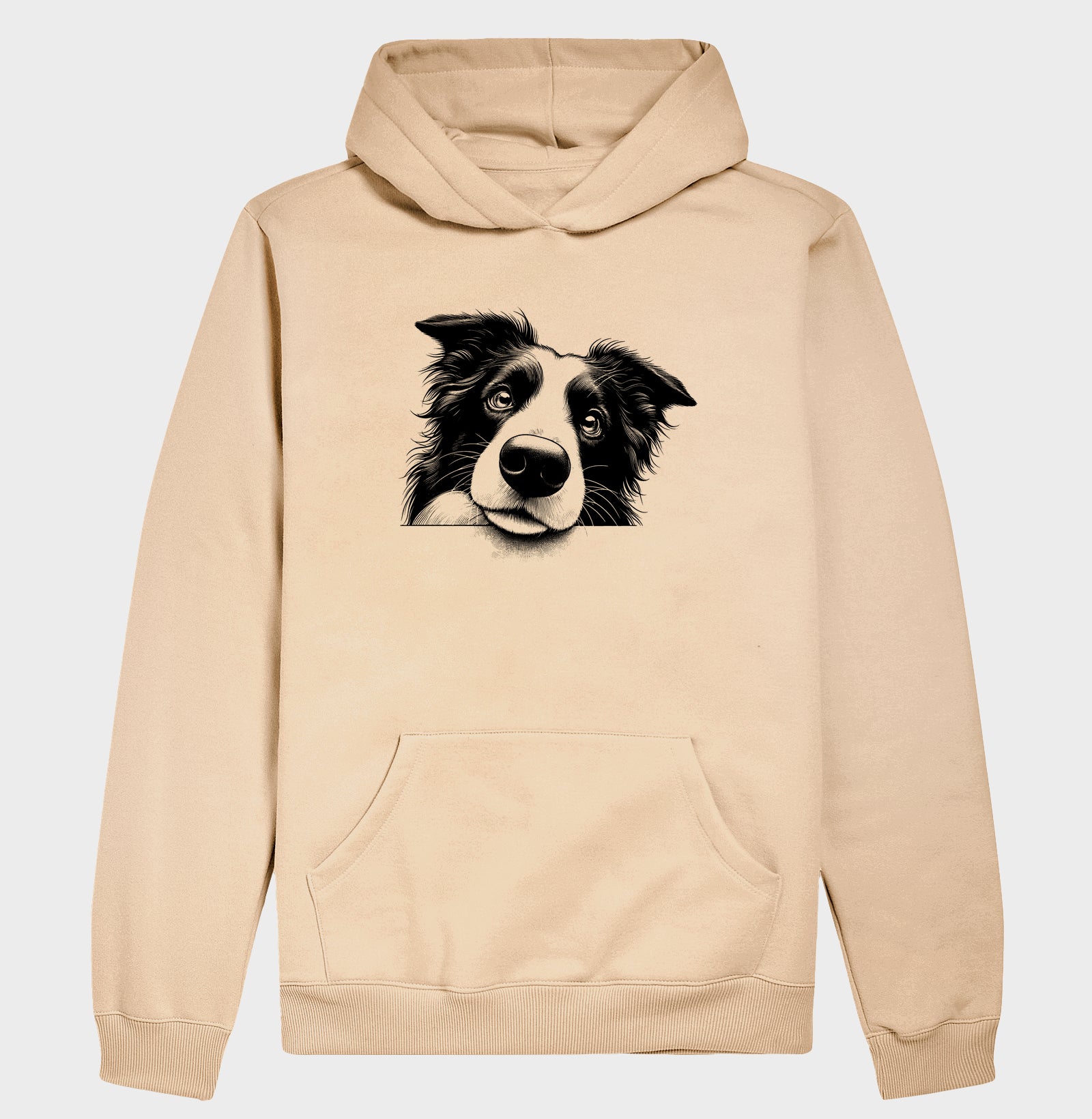 Border collie