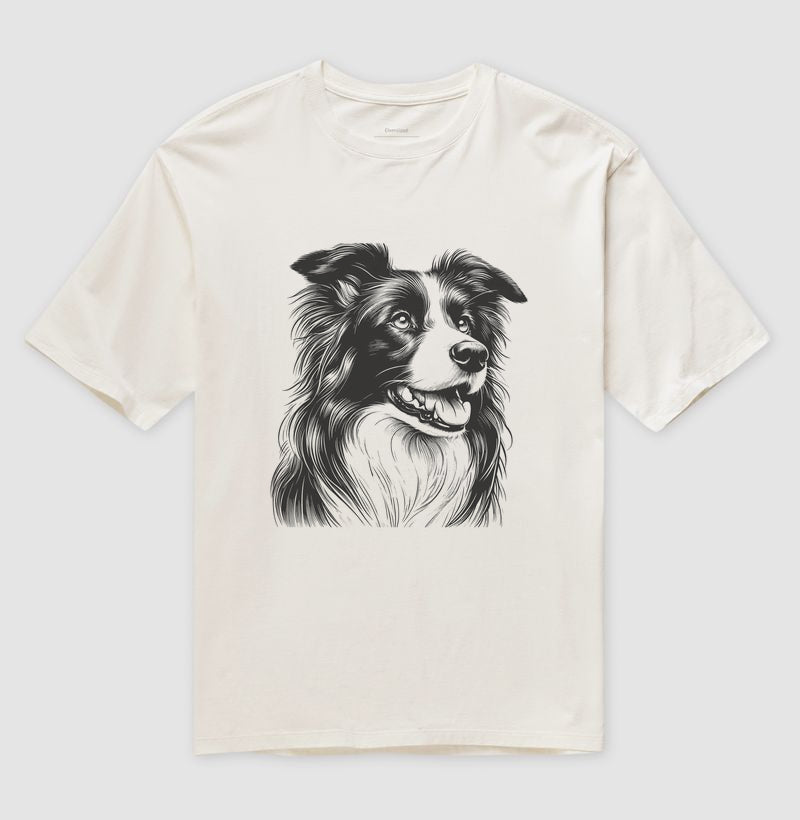 Border collie PRÍNCIPE DAS PRAIAS