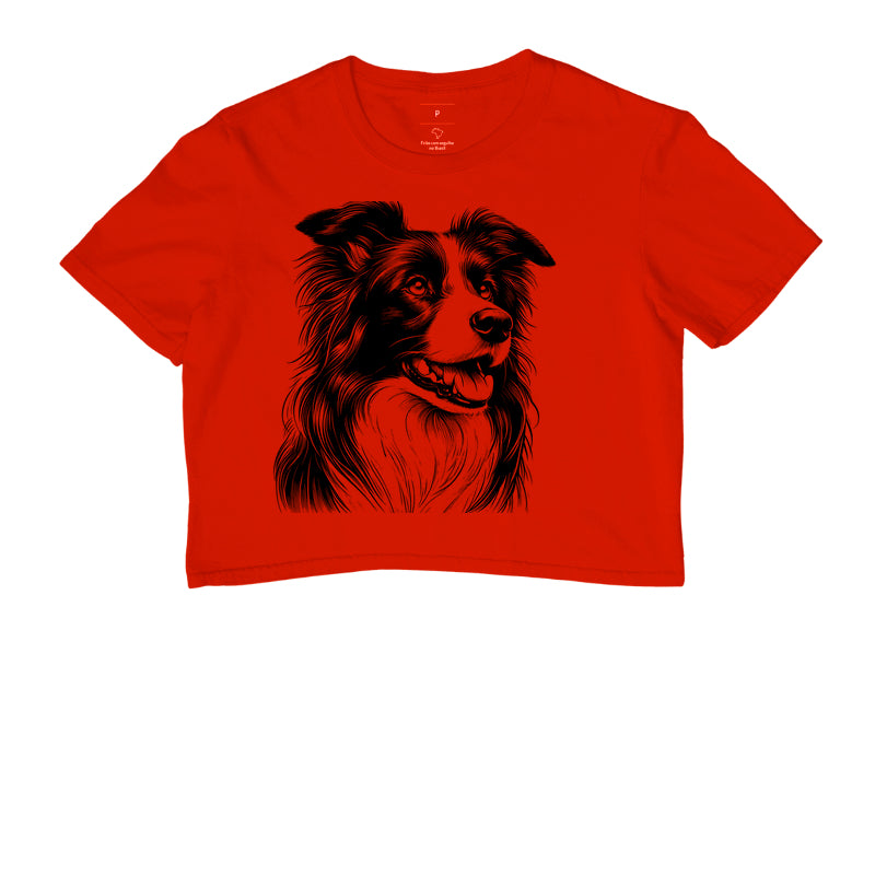Border collie PRÍNCIPE DAS PRAIAS