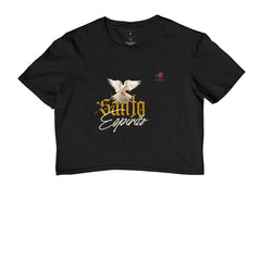 Santo espírito