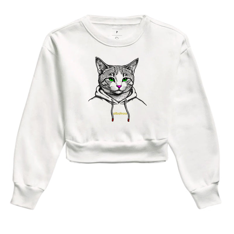 gato play