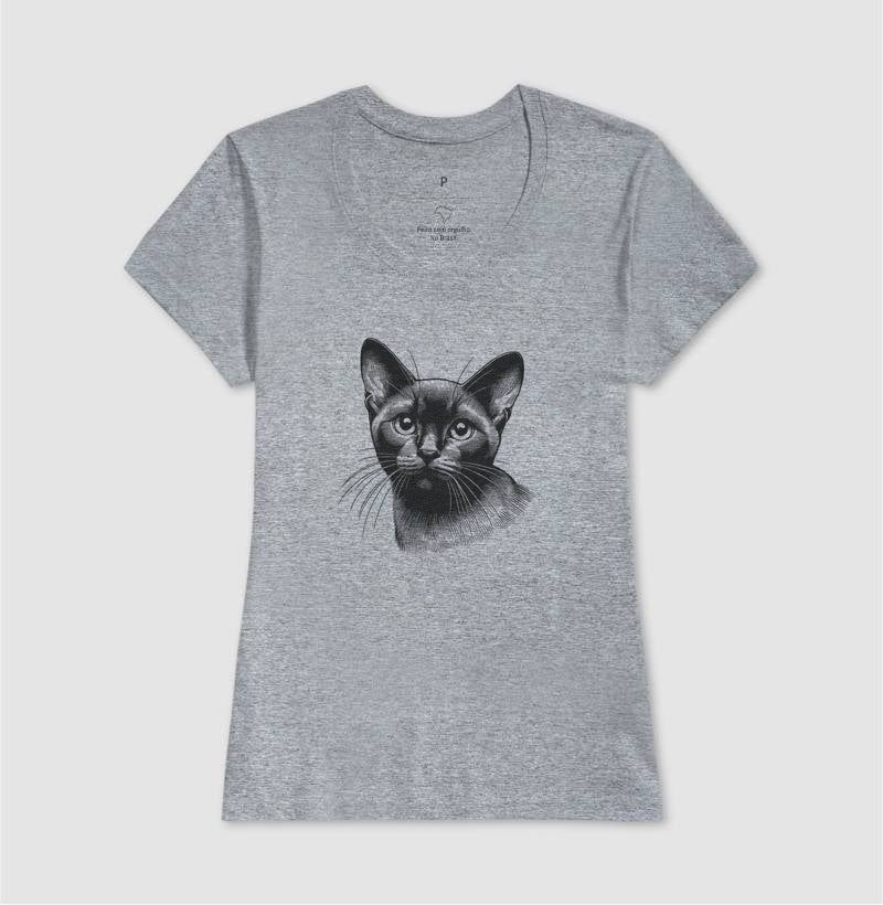 Felino Navegante