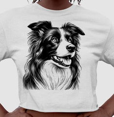 Border collie PRÍNCIPE DAS PRAIAS