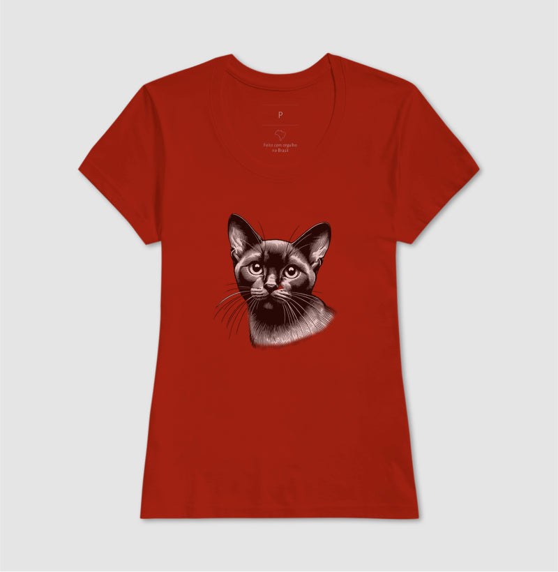 Felino Navegante