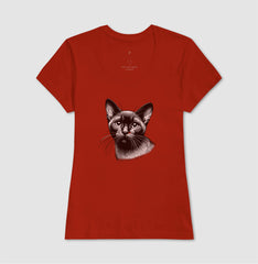 Felino Navegante