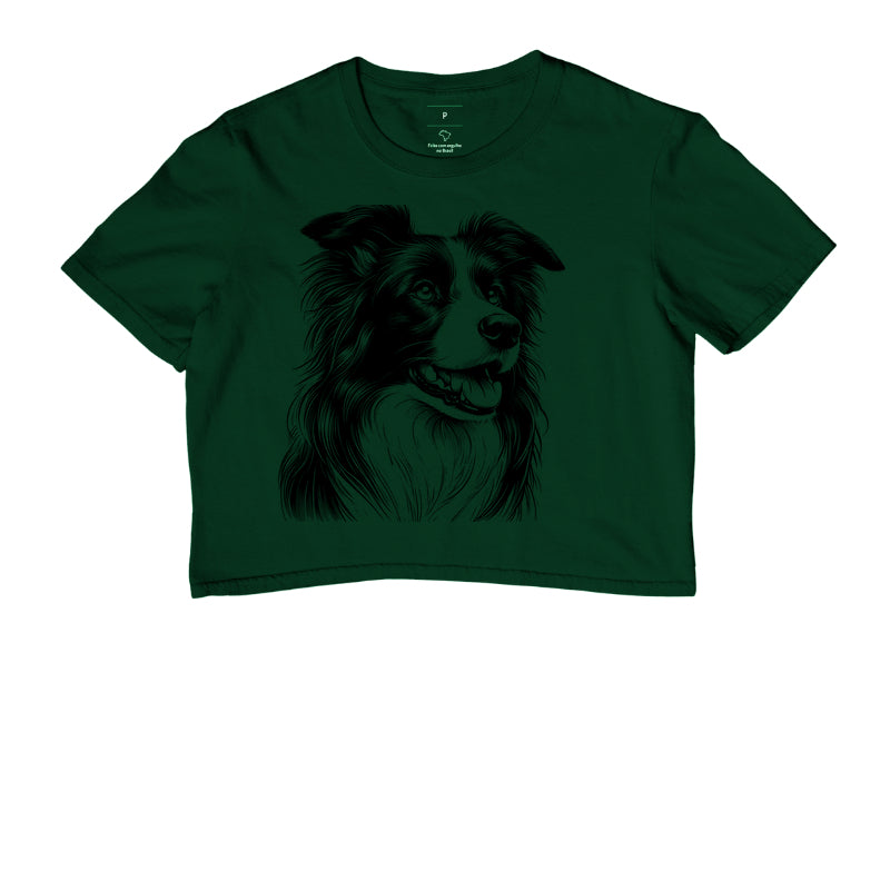 Border collie PRÍNCIPE DAS PRAIAS