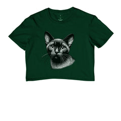 Felino Navegante
